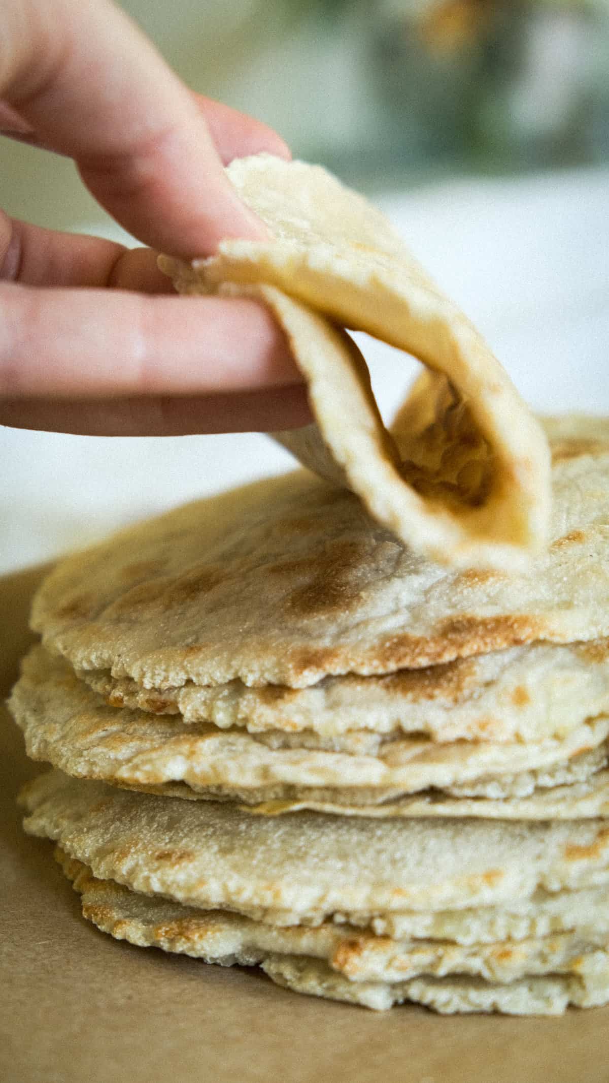 gf tortillas