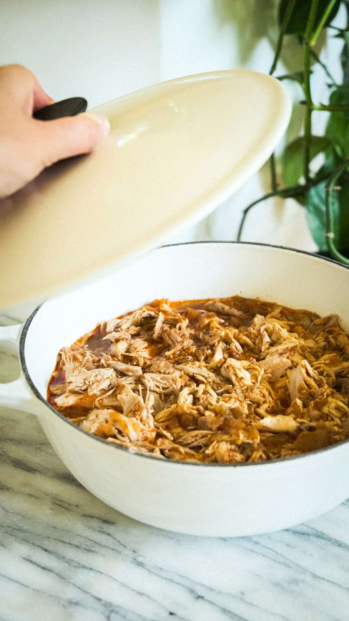 instant pot chicken mexican