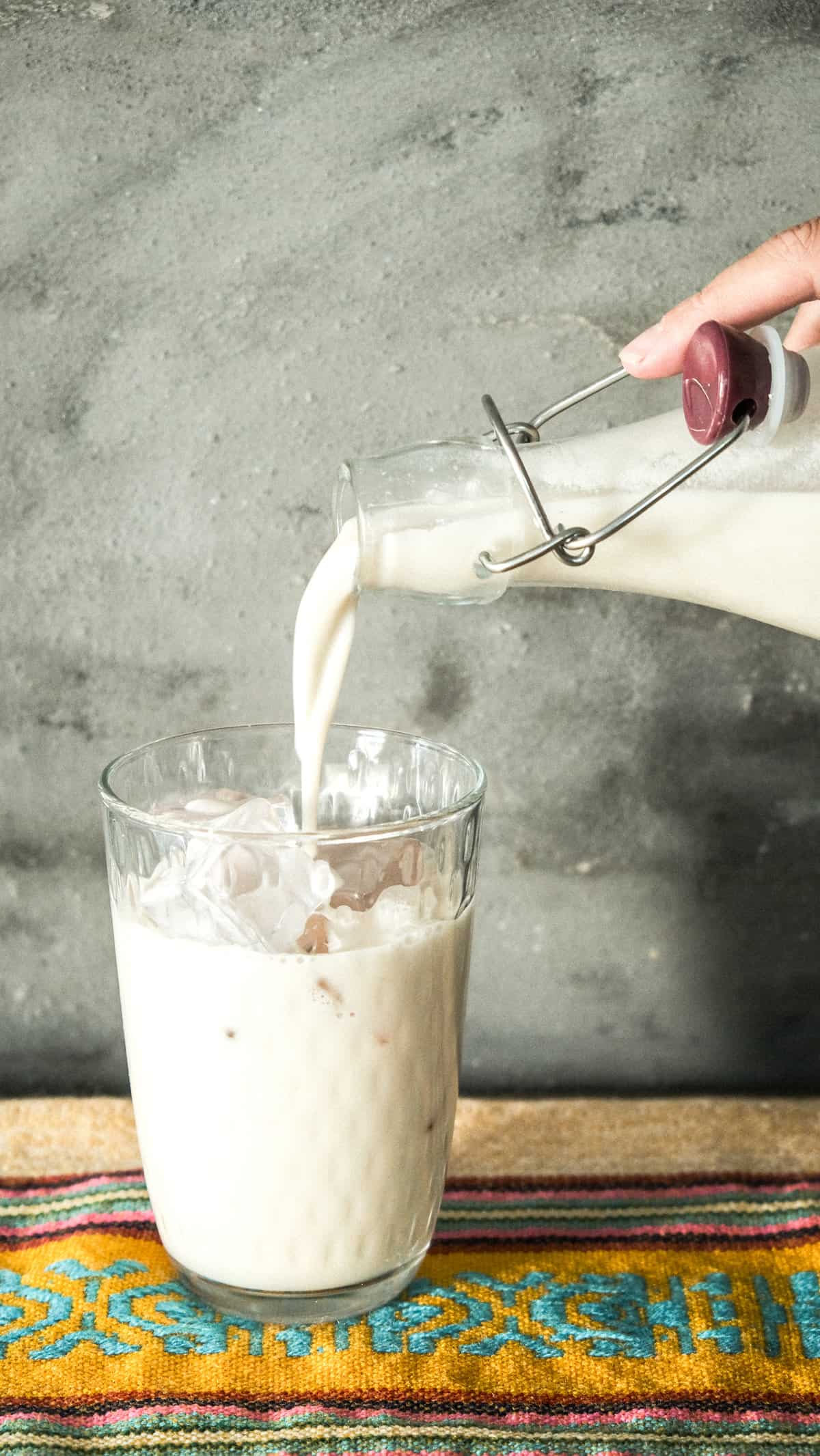 Easy dairy free horchata
