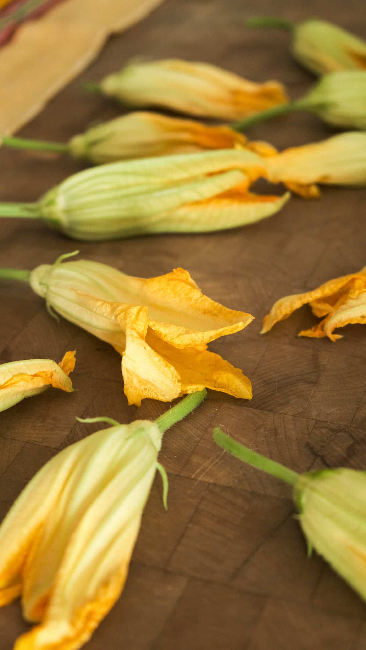 Recipes using squash blossoms