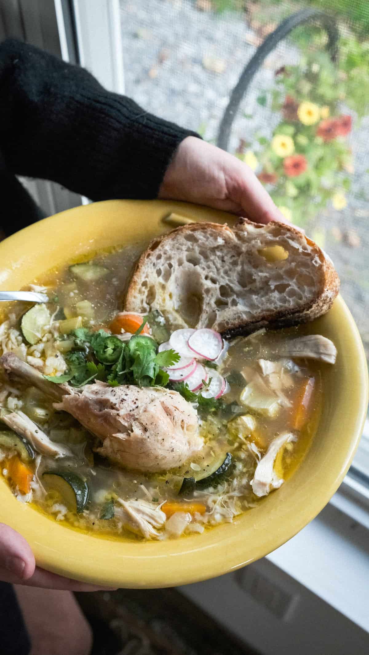 Instant pot sopa de pollo