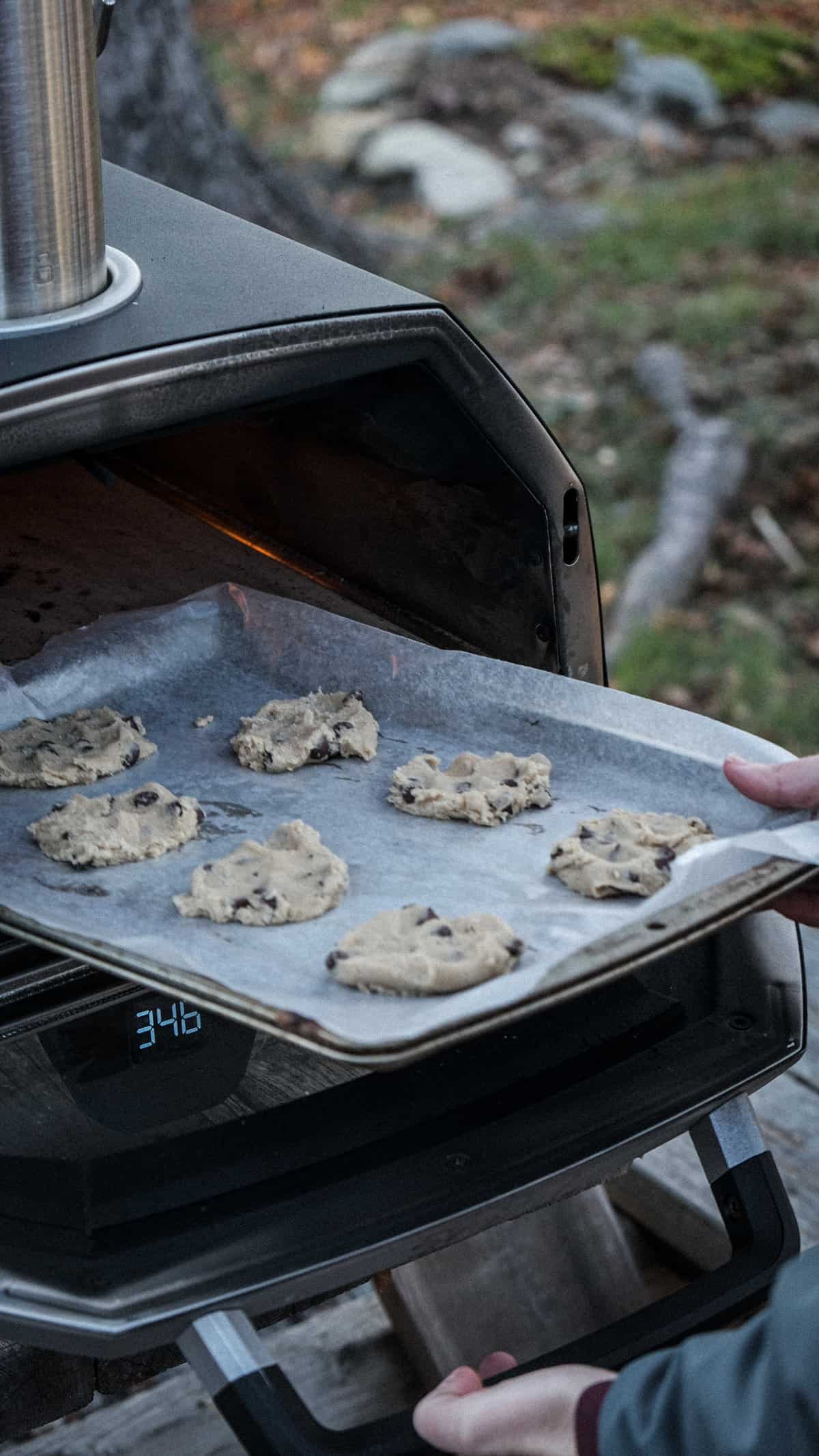 Grain free chocolate chip cookies