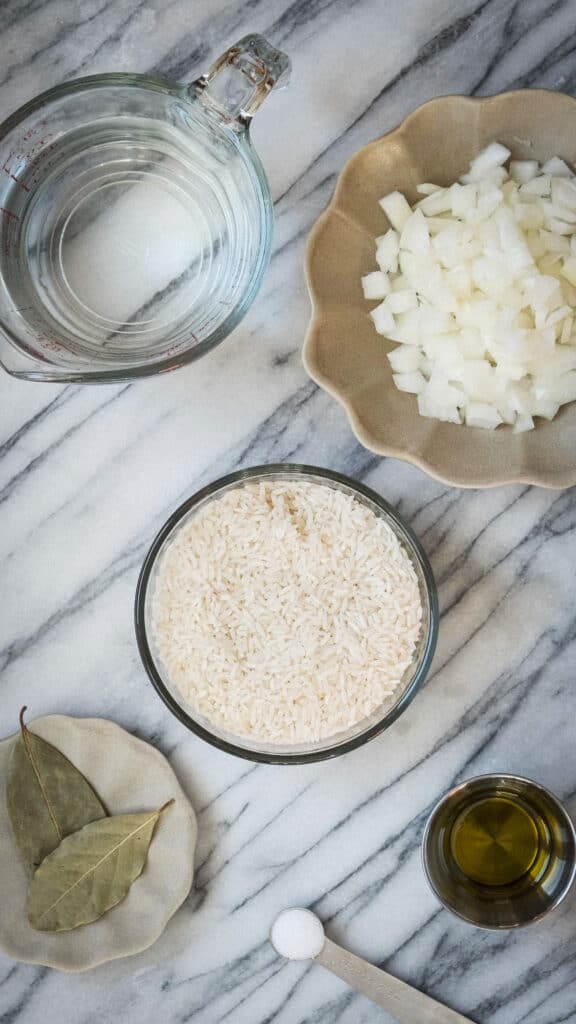 instant pot rice