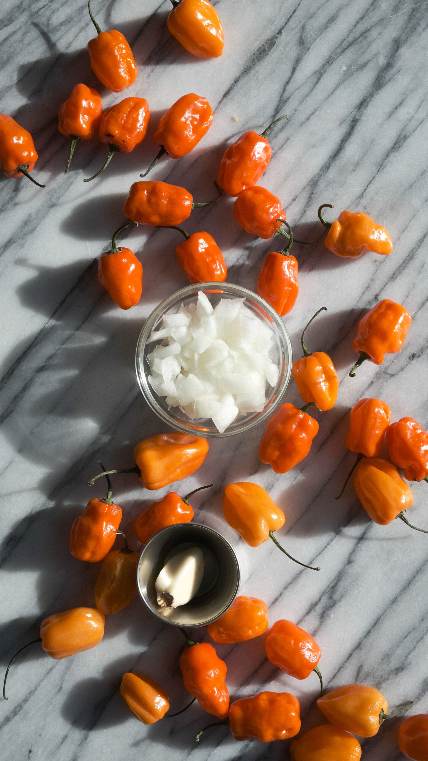 Mexican habanero salsa recipe