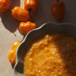 Simple habanero salsa recipe