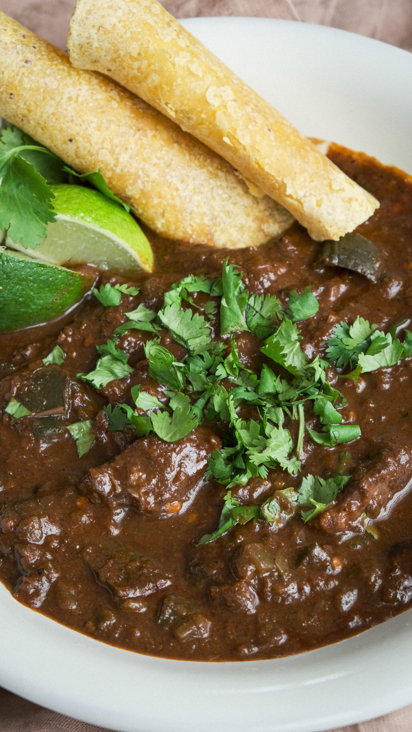 Authentic mexican chili beef recipes