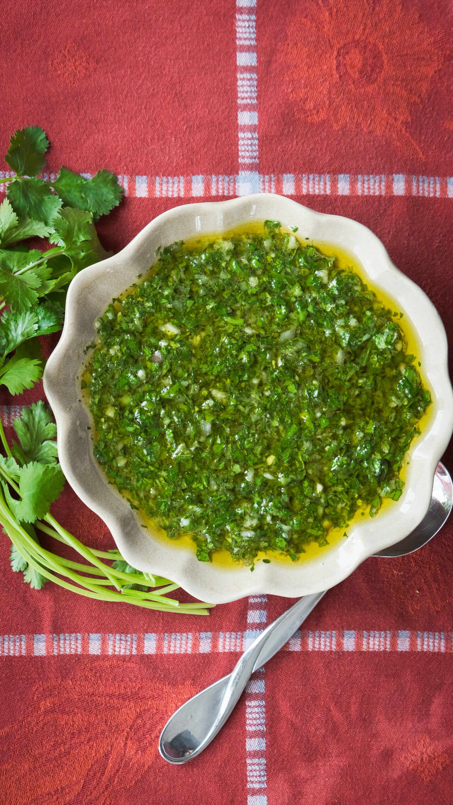 Chimichurri origin