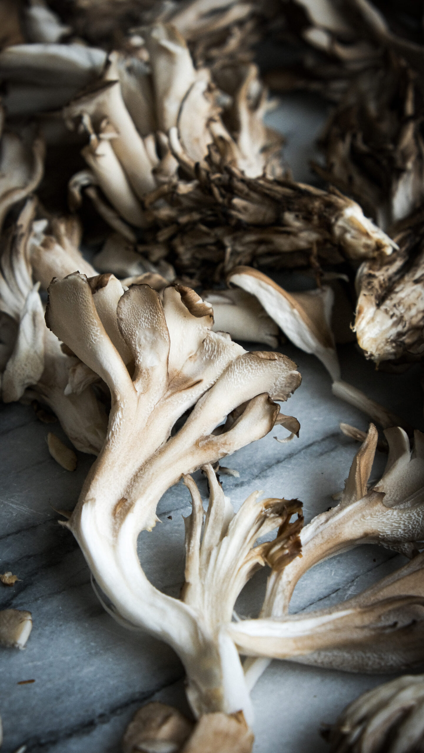 Hen of the woods mushroom recipe