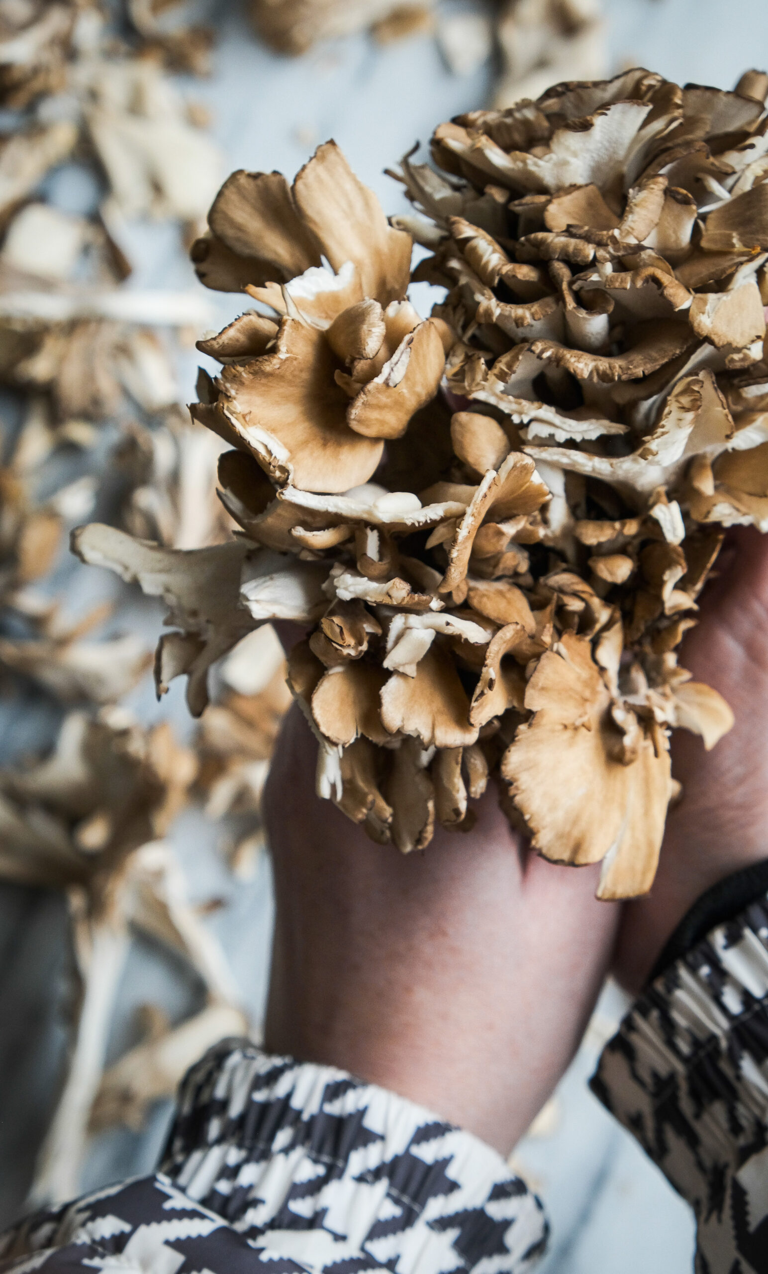 How to clean hen of the woods