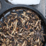 crispy roasted mushrooms