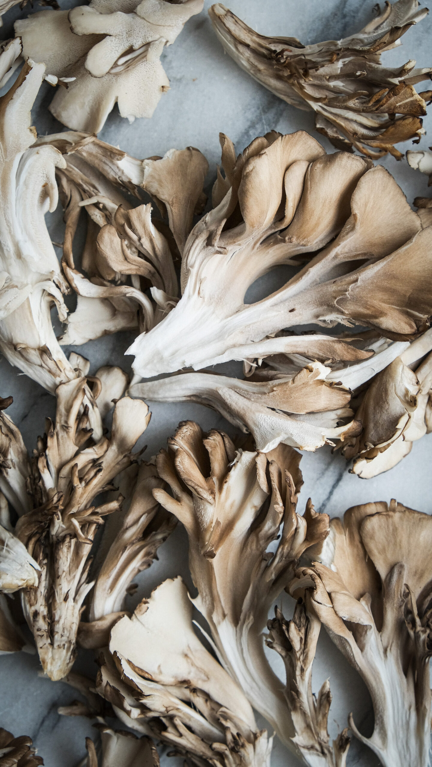 how to cook hen of the woods