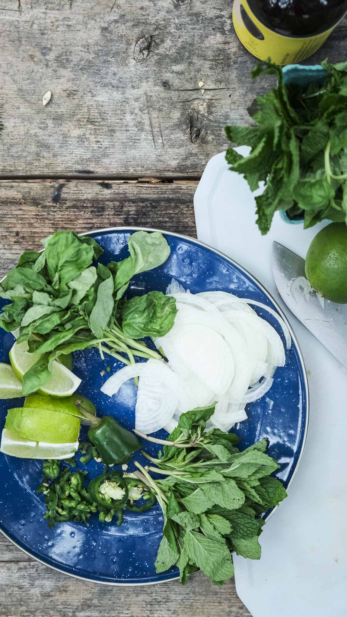 Campfire Easy Chicken Pho Recipe - Molé in the Wall