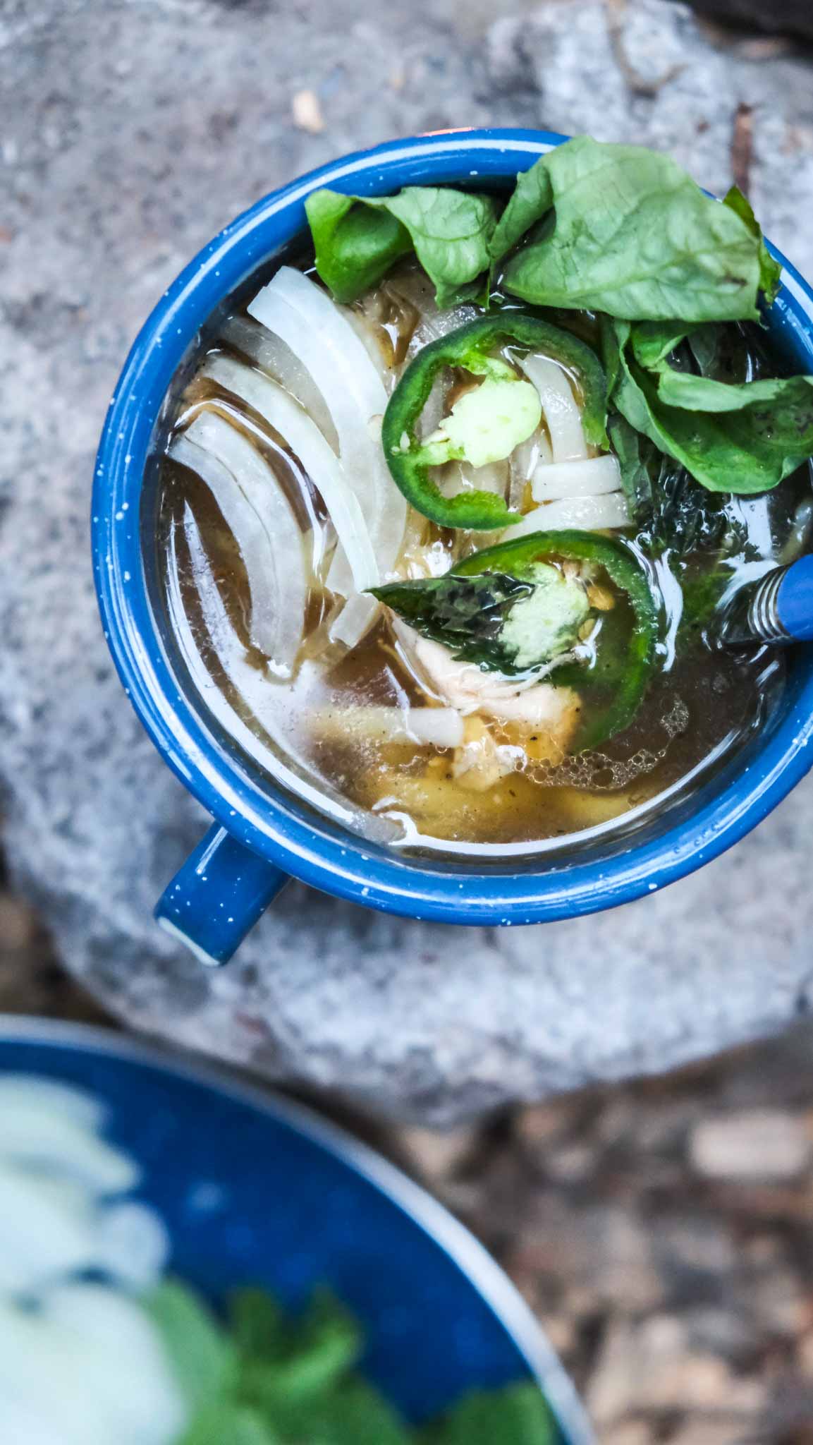 quick and easy pho recipe